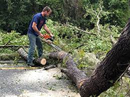 Best Aeration Services  in Frankston, TX